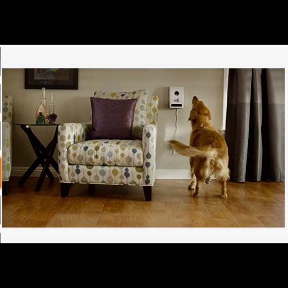 Petzi Treat Cam: Wi-Fi Pet Camera & Treat - Picture 5 of 5